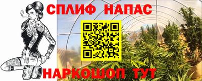 apvp Новодвинск