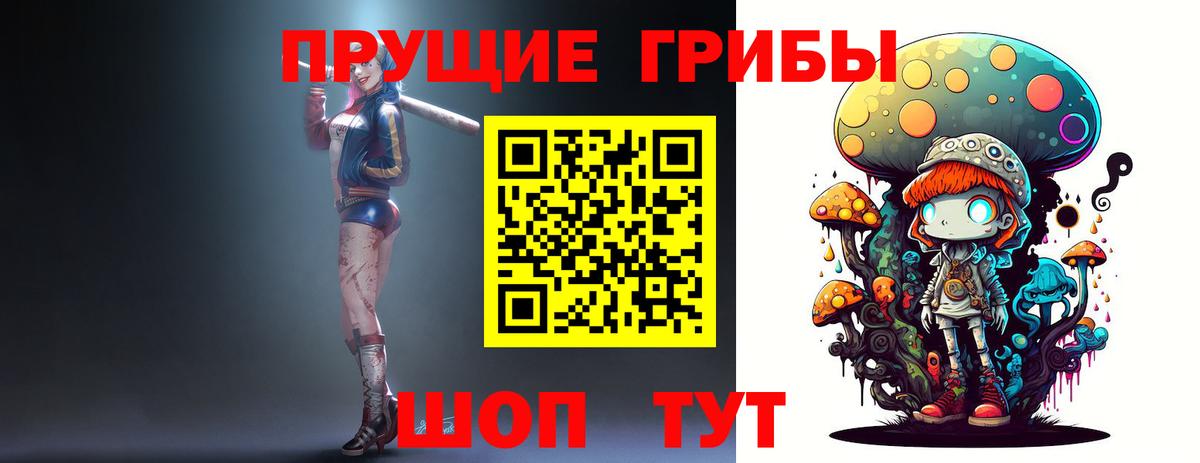 Псилоцибиновые грибы Cubensis  Вход с VPN  Галлюциногенные грибы ЛСД  Тобольск 